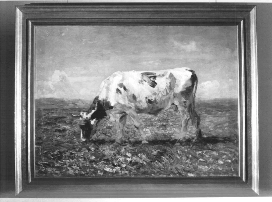 Mucca al pascolo - Monte di Pietà